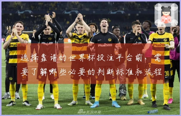选择靠谱的世界杯投注平台前，需要了解哪些必要的判断标准和流程？